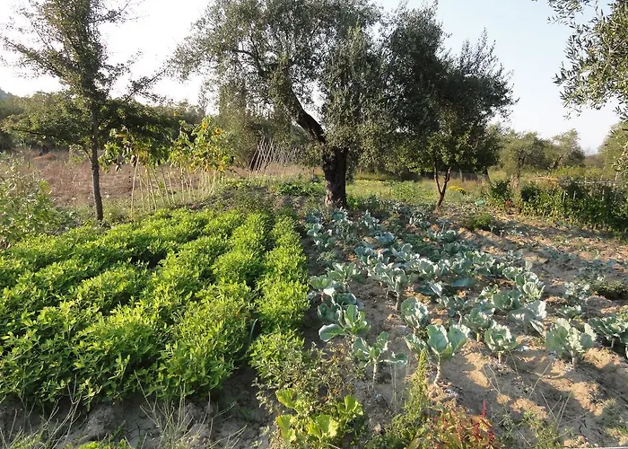 Aroggia Farm * Xanthátai