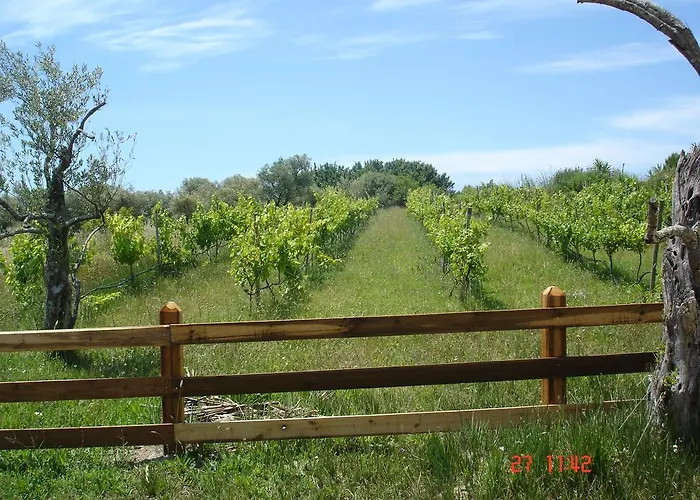Farma Aroggia Farm