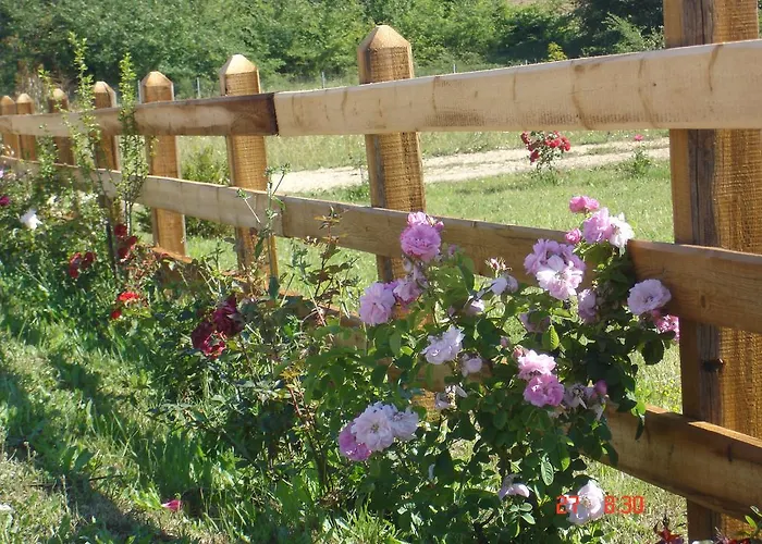 Aroggia Farm