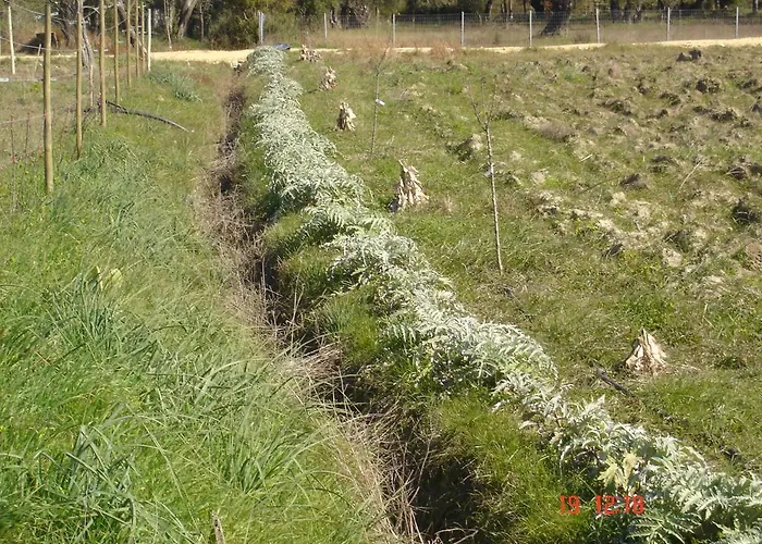 Aroggia Farm * Xanthátai