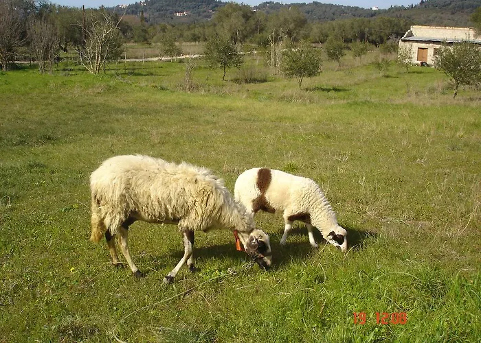 Aroggia Farm Farma