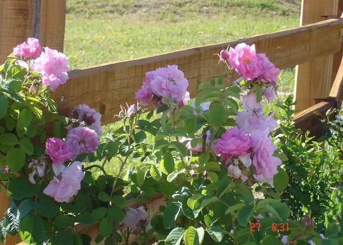 Aroggia Farm * Xanthátai